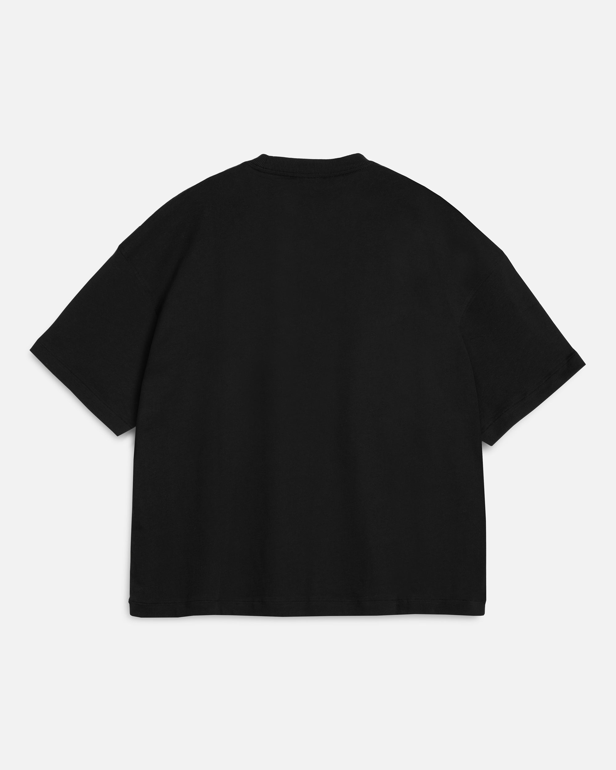 Earth Triple T-Shirt
